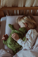 Pluszowy żółw maskotka obciążeniowa 1,6 kg Astrup