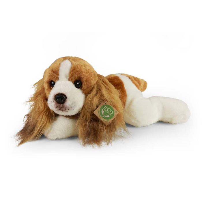 Maskotka dla dzieci pies Cavalier 30 cm Rappa