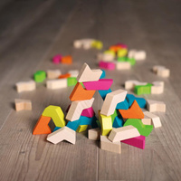 Drewniane klocki GeoBlox MaxiMix 60 el. Erzi