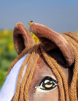 Brązowy koń na kiju z gęstą grzywą Premium Super Hobby Horse