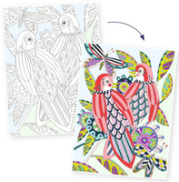 Obrazy do kolorowania w teczce Ptaki Djeco