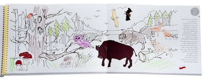 Książka dla dzieci. Przygoda z Polską, Zuzu Toys