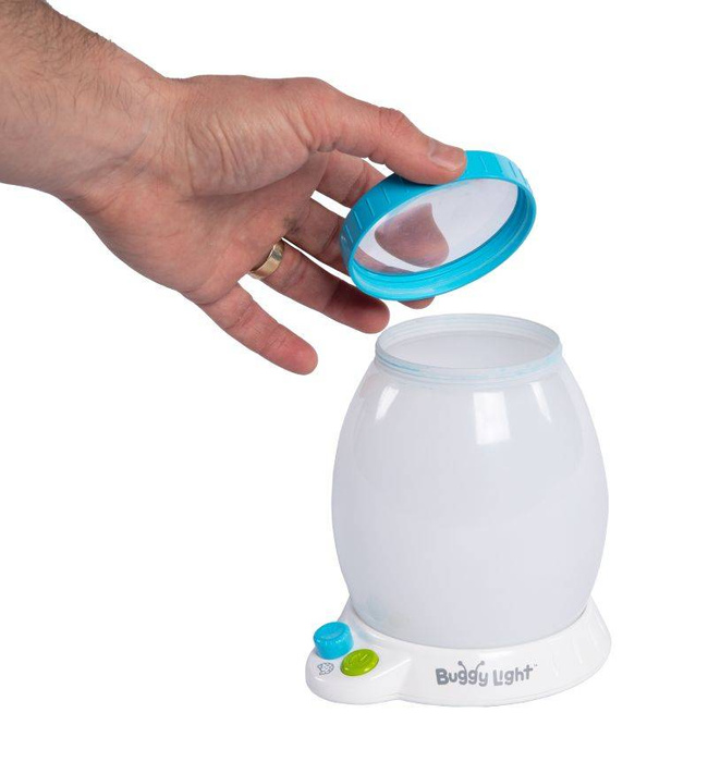 Nocna Lampka Obserwatorium Owadów Buggy Light