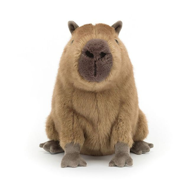 Kapibara 24 cm Jellycat