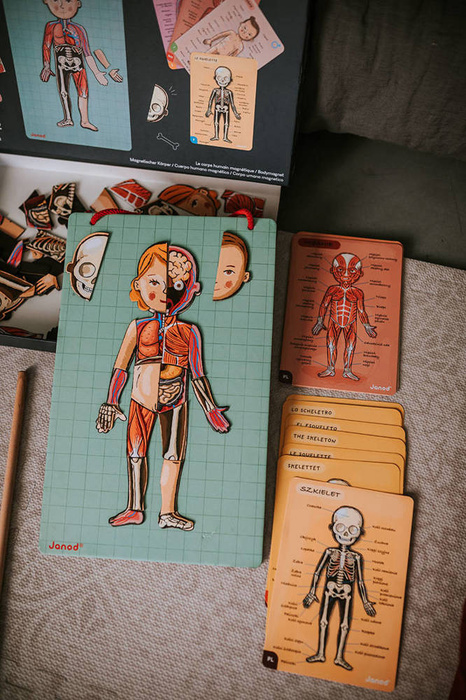 Magnetyczna układanka, magnesy dla dzieci. Anatomia, Janod