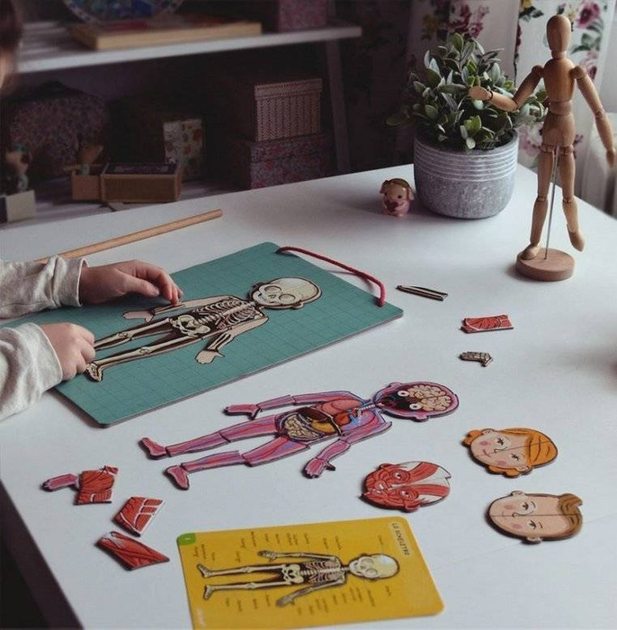 Magnetyczna układanka, magnesy dla dzieci. Anatomia, Janod