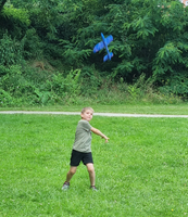 Latająca Nauka Buki