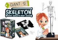 Model szkieletu człowieka do samodzielnego montażu Buki