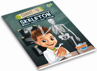 Model szkieletu człowieka do samodzielnego montażu Buki