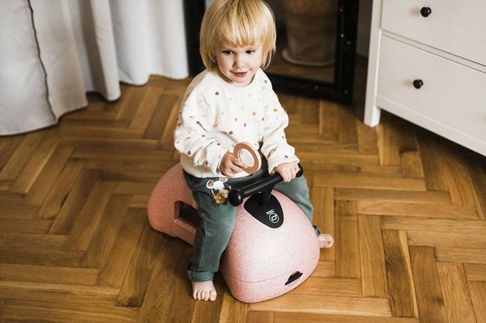 My First wielofunkcyjny jeździk pchacz dla dzieci 3 w1 Scootandride Rose