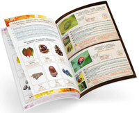 Pojemnik do obserwacji zwierząt dla dzieci Buki