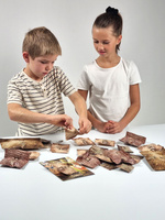 Zestaw mały archeolog 25 niespodzianek z dinozaurami Buki