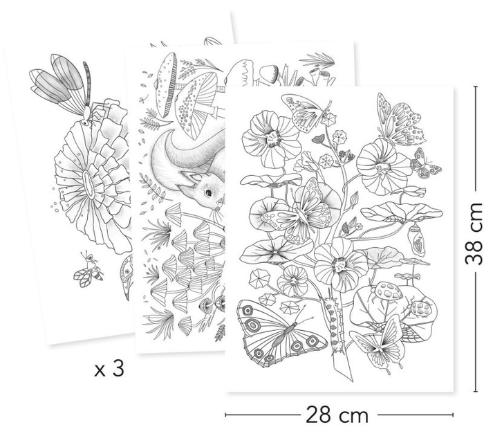 Obrazy do kolorowania w teczce Las Djeco