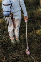 Gra zręcznościowa Polo Hobby Horse akcesoria Astrup
