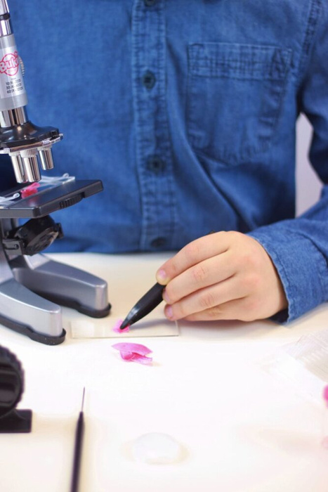 Nauka i zabawa mikroskop 30 doświadczeń dla dzieci Buki