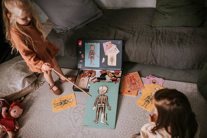 Magnetyczna układanka, magnesy dla dzieci. Anatomia, Janod