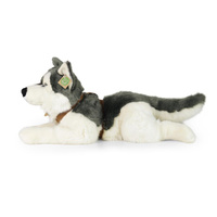 Maskotka dla dzieci pies Husky 60 cm Rappa 