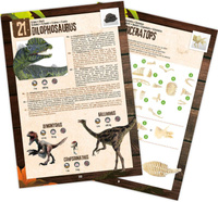 Zestaw mały archeolog 25 niespodzianek z dinozaurami Buki