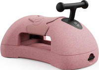 My First wielofunkcyjny jeździk pchacz dla dzieci 3 w1 Scootandride Rose