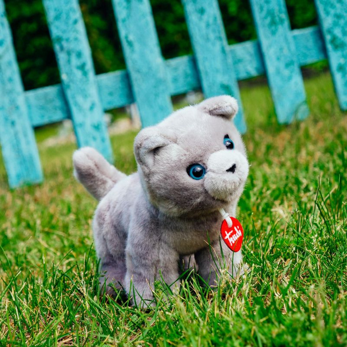 Maskotka pluszowa Kotka szara Trudi