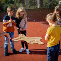 Dysk do balansowania z labiryntem dwustronna gra Team Spirit Erzi