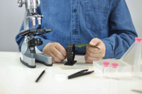 Nauka i zabawa mikroskop 30 doświadczeń dla dzieci Buki