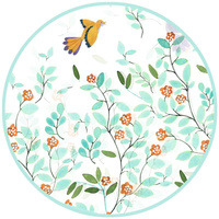 Transparentna pelerynka przeciwdeszczowa dla dzieci ptaszki Djeco