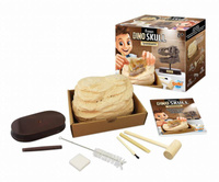 Muzeum czaszek dinozaura - TYRANOZAUR 2130 Buki