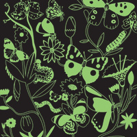 Puzzle rodzinne świecące w ciemności Motyle 500 elementów Mudpuppy