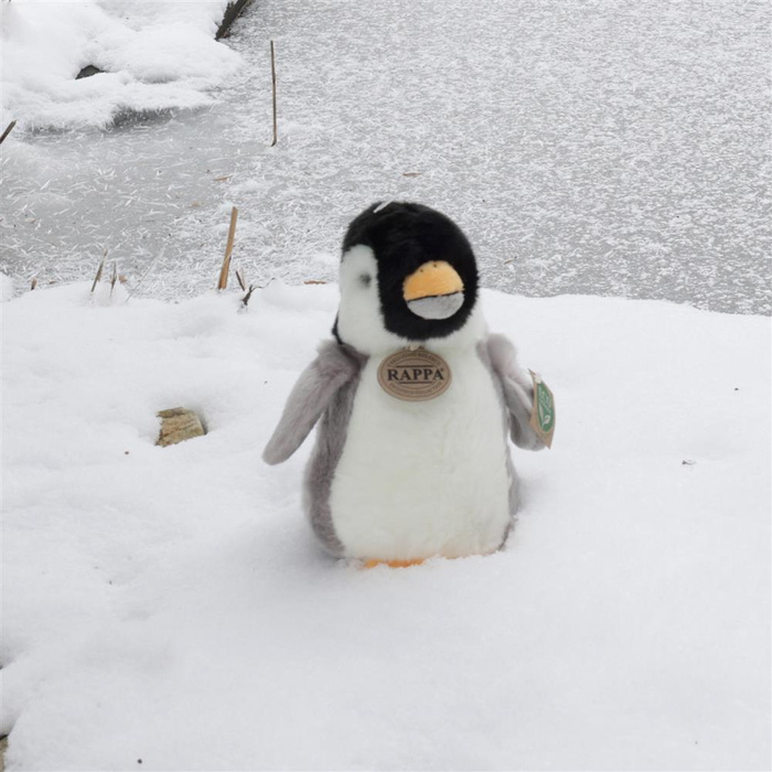 Maskotka dla dzieci pingwin 20 cm Rappa