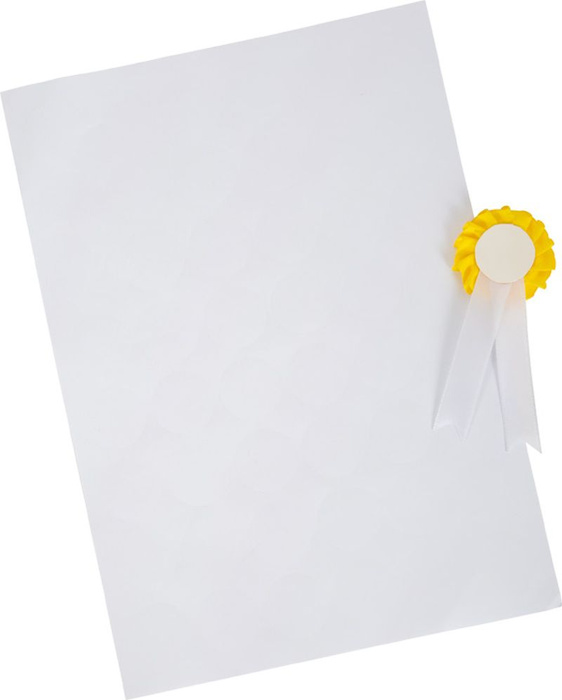 Torba z akcesoriami do pielęgnacji konia Small Foot