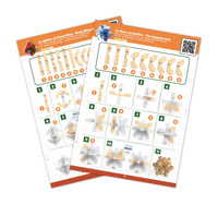 Trzy tradycyjne łamigłówki intelektualne dla małych ekspertów Buki