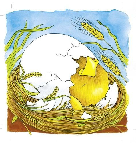 Układanka drewniana, warstwowa. Kura, Goki