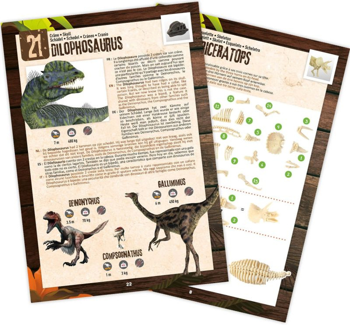 Zestaw mały archeolog 25 niespodzianek z dinozaurami Buki