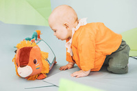 Wielofunkcyjny trójkąt z lusterkiem Lew Jack Lilliputiens