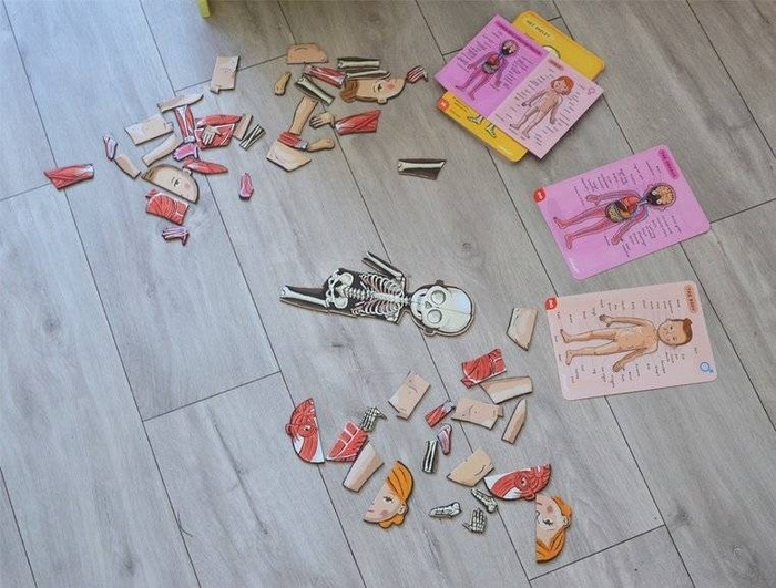 Magnetyczna układanka, magnesy dla dzieci. Anatomia, Janod