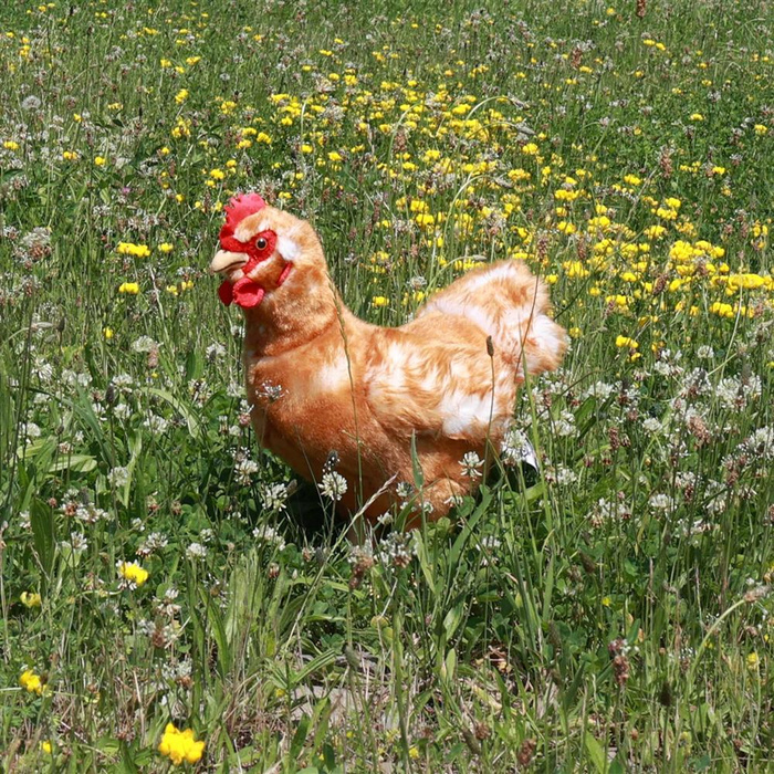 Maskotka dla dzieci jasnobrązowa kura 33 cm z jajkiem Rappa