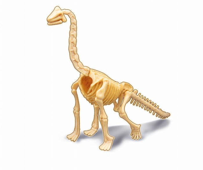 Zestaw Małego paleontologa Brachiozaur Buki