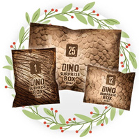 Zestaw mały archeolog 25 niespodzianek z dinozaurami Buki