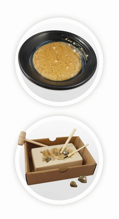 Poszukiwacze złota 443 Buki