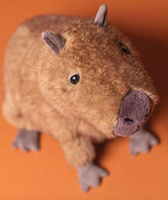 Kapibara 24 cm Jellycat