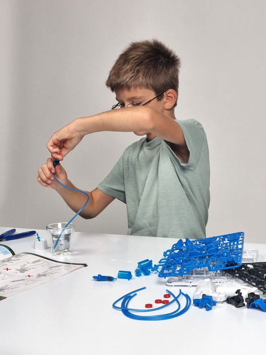 Zestaw konstrukcyjny zrób to sam Hydrauliczni bokserzy Buki