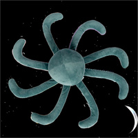 Pluszowa ośmiornica maskotka obciążeniowa 1,2 kg Astrup