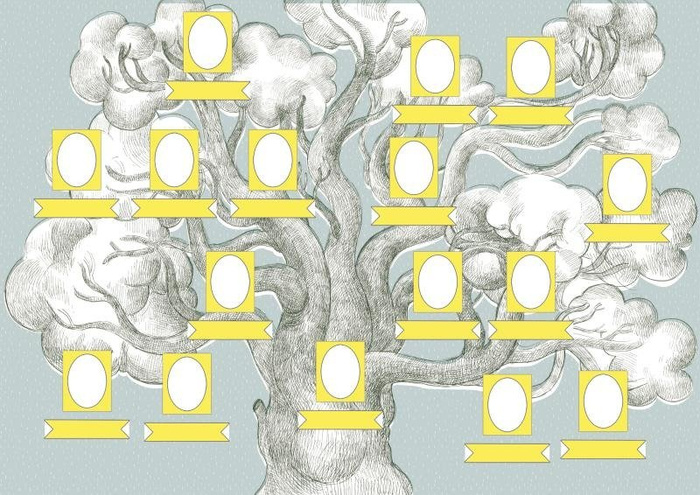 Drzewo genealogiczne Zuzu Toys