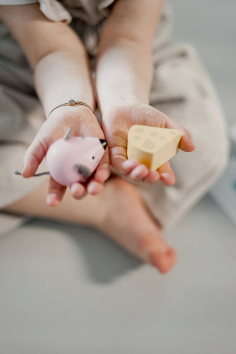 Układanka Orientacja w przestrzeni Kot i mysz Janod