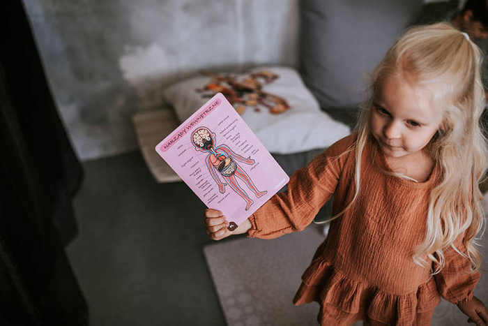 Magnetyczna układanka, magnesy dla dzieci. Anatomia, Janod