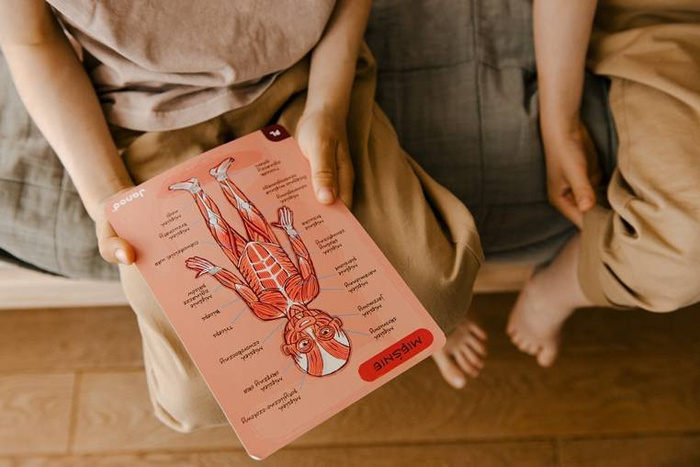 Magnetyczna układanka, magnesy dla dzieci. Anatomia, Janod