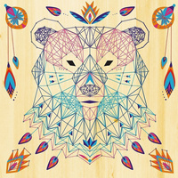 Zestaw kreatywny String Art Zwierzęta 8+, Janod