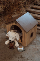 Domek dla piesków z akcesoriami Astrup