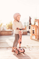  SCOOTANDRIDE Highwaykick1 2w1 Jeździk i hulajnoga 1-5 lat Rose